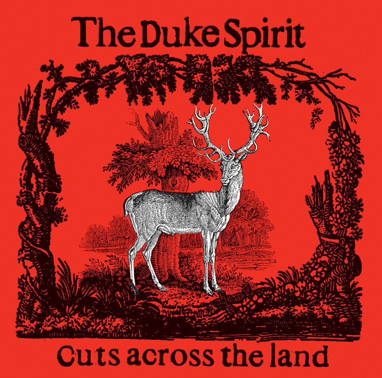 LP ploča The Duke Spirit - Cuts Across The Land (Deluxe Edition) (Yellow Splatter & Red Splatter Coloured) (2 LP)