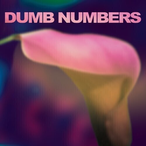 Disque vinyle Dumb Numbers - Dumb Numbers (LP)