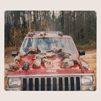 Грамофонна плоча Efrim Menuck & Kevin Doria - are SING SINCK, SING (LP) - 1