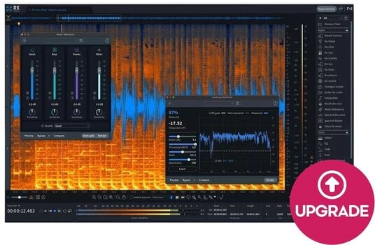 Update / Upgrade / Expansion iZotope RX 11 Standard: Upgrade from RX Ele or Ele Suite (Digital produkt) - 1