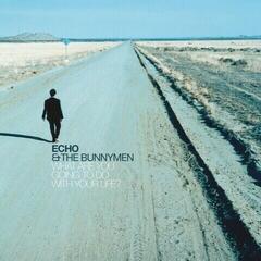 Schallplatte Echo & The Bunnymen - What Are You Going To Do With Your Life? (Limited Edition) (Turquoise Coloured) (LP)