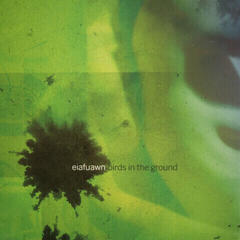 Disque vinyle Eiafuawn - Birds In The Ground (Reissue) (Bee Yellow Coloured) (LP)