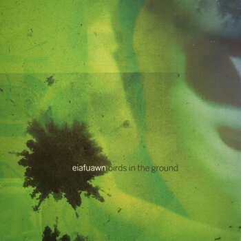 Disque vinyle Eiafuawn - Birds In The Ground (Reissue) (Bee Yellow Coloured) (LP) - 1