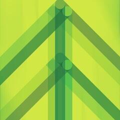 LP plošča El Ten Eleven - Every Direction Is North (Limited Edition) (Glass Green Coloured) (LP)