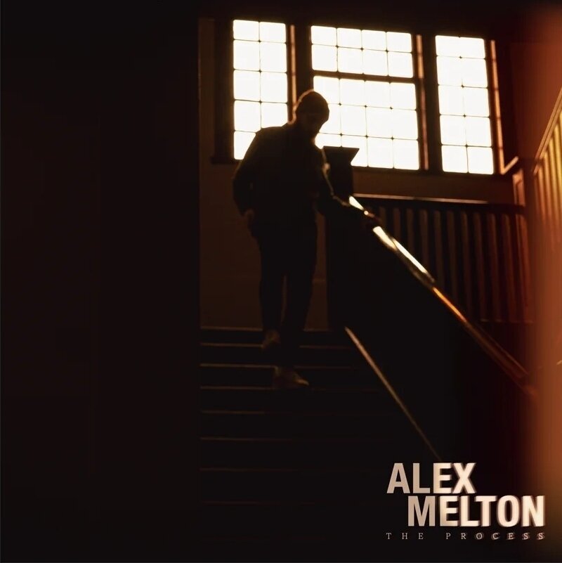 Disc de vinil Alex Melton - Process (Tigers Eye Marble Coloured) (LP)