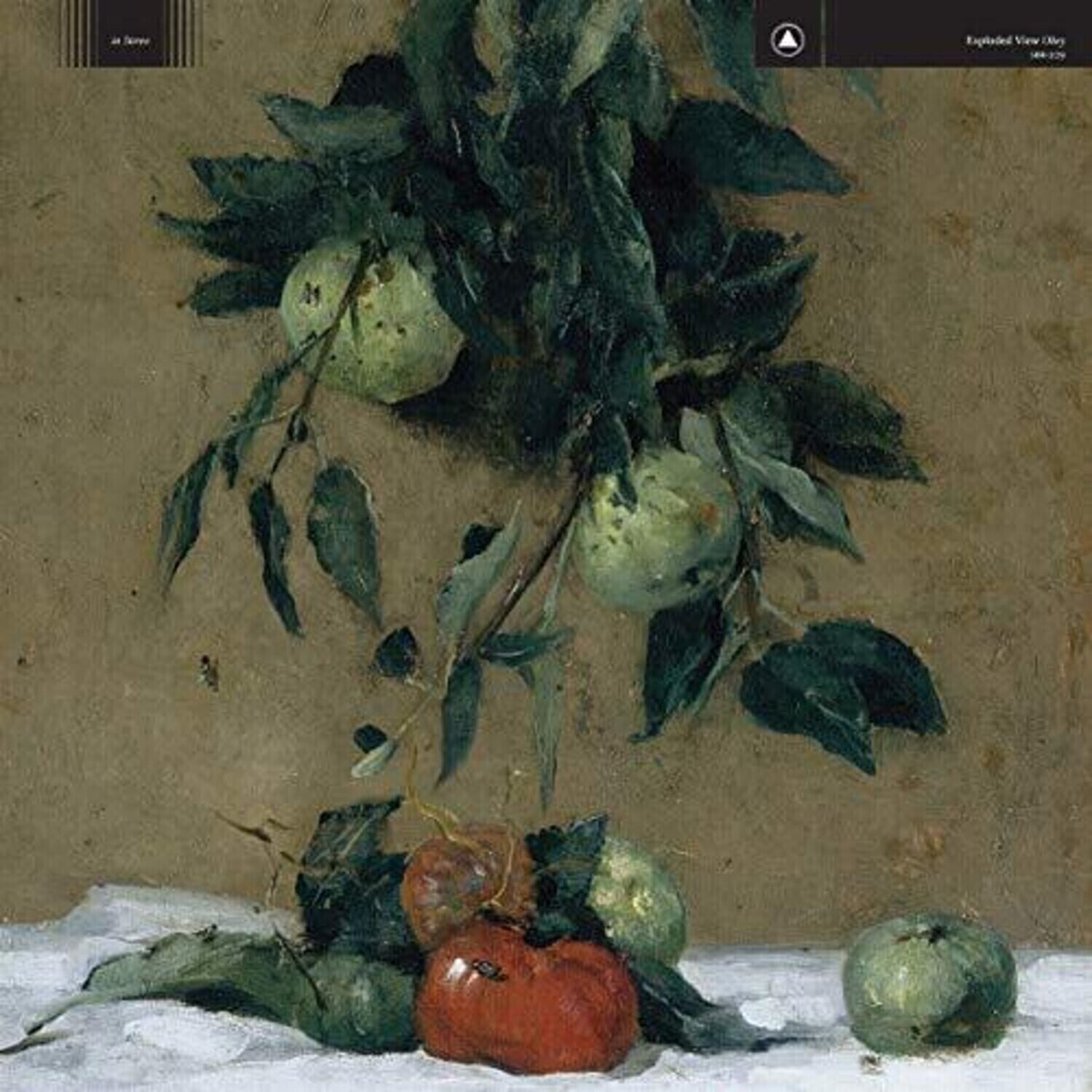 Schallplatte Hidden In Plain View - Obey (LP)