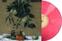 LP ploča Hidden In Plain View - Obey (Limited Edition) (Hot Pink Coloured) (LP)