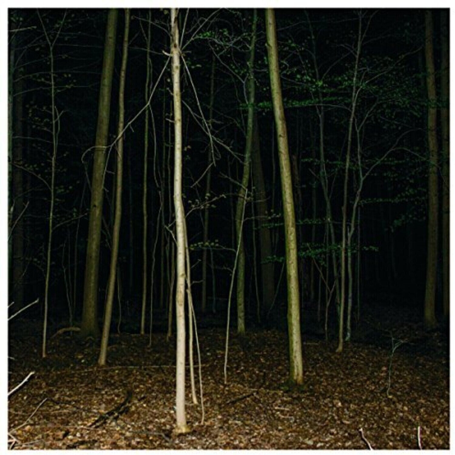 LP plošča Express Rising - Fixed Rope II (LP)