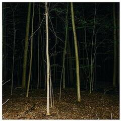 Disque vinyle Express Rising - Fixed Rope II (LP)