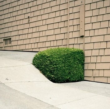 Vinyl Record Ezra Feinberg - Soft Power (LP) - 1