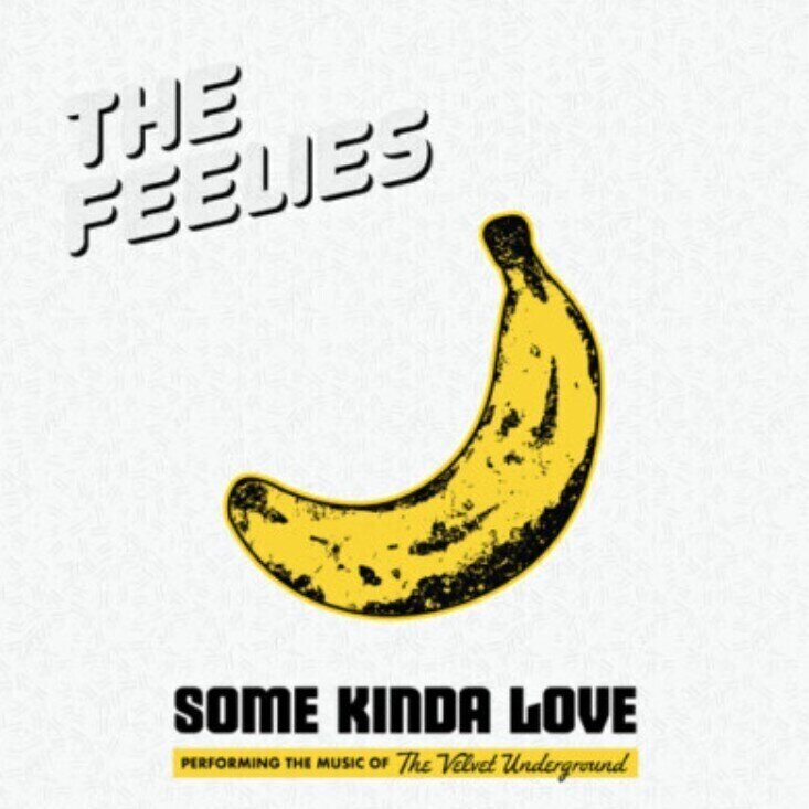 LP ploča The Feelies - Some Kinda Love (Performing The Music Of The Velvet Underground) (2 LP)