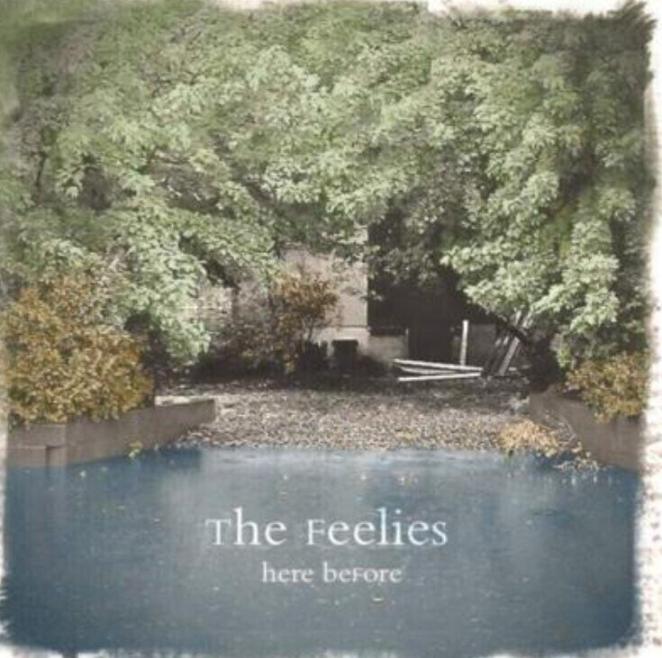 Disco de vinil The Feelies - Here Before (180g) (LP)