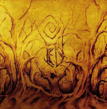 LP ploča Fen - The Malediction Fields (2 LP) - 1