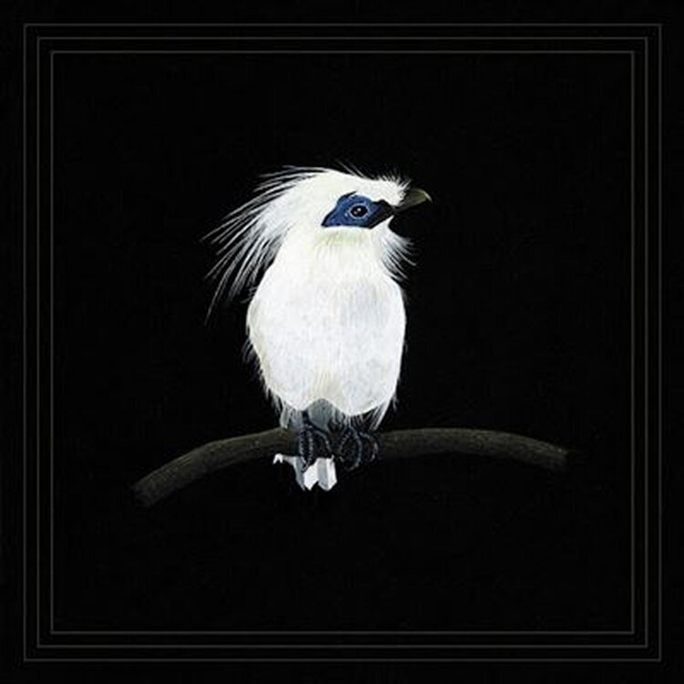 Blundetto - Cousin Zaka Vol. 3 (LP) - Muziker
