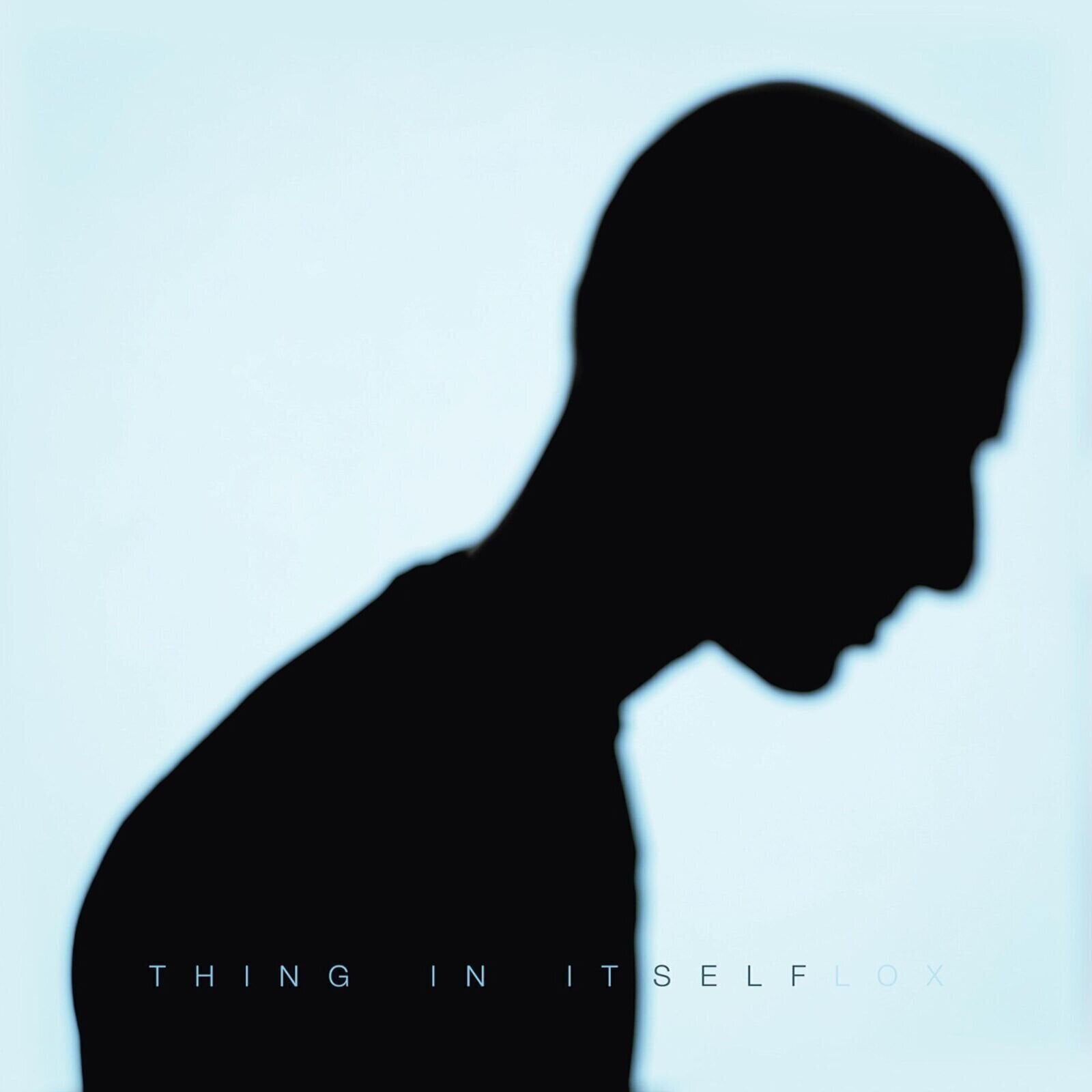Zenei CD Flox - Thing In Itself (CD)