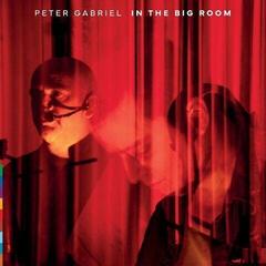 LP ploča Peter Gabriel - In The Big Room (Gatefold Sleeve) (180 g) (2 LP)