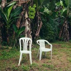 Vinylplade Bad Bunny - Debí Tirar Más Fotos (White Coloured) (2 LP)