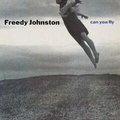 Vinyylilevy Freedy Johnston - Can You Fly (Reissue) (Coloured) (LP)