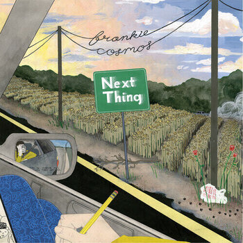 Vinylplade Frankie Cosmos - Next Thing (LP) - 1