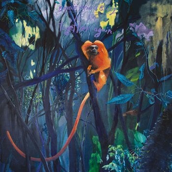 LP plošča Bonnie Prince Billy - We Are Together Again (LP) - 1