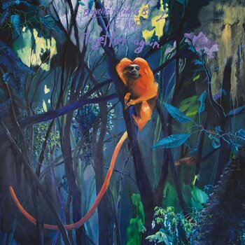 Glasbene CD Bonnie Prince Billy - We Are Together Again (CD) - 1