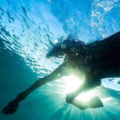 CD musique Dream Nails - You Wish (Digipak) (CD)