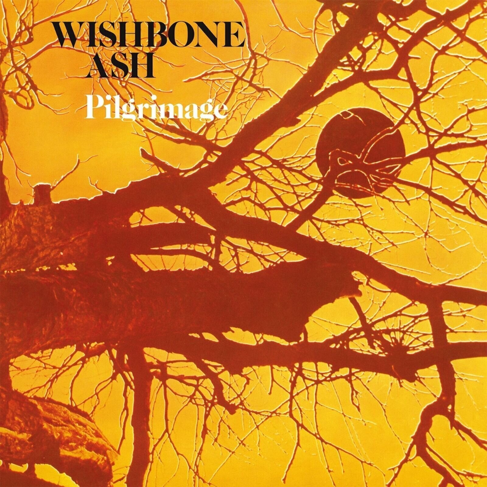 Disc de vinil Wishbone Ash - Pilgrimage (LP)