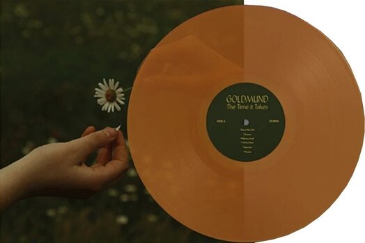 LP ploča Goldmund Quartet - The Time It Takes (Limited Edition) (Marigold Orange Coloured) (LP) - 1