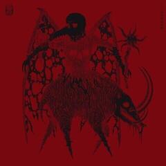 LP plošča Grave Temple - Ambient / Ruin (2 LP)