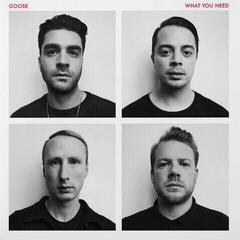 Disque vinyle Goose - What You Need (LP)