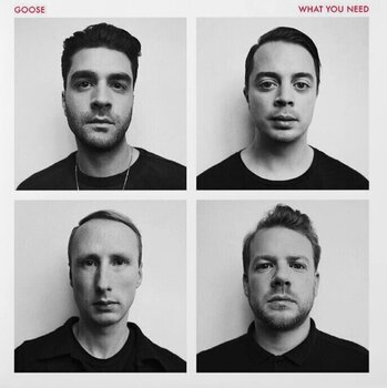 Disque vinyle Goose - What You Need (LP) - 1
