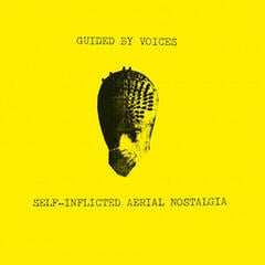 Schallplatte Guided By Voices - Self-Inflicted Aerial Nostalgia (Reissue) (LP)