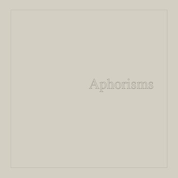 LP platňa Graham Lambkin - Aphorisms (2 LP) - 1