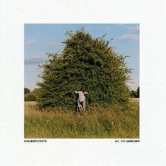 Vinyl Record Grandbrothers - All The Unknown (2 LP)