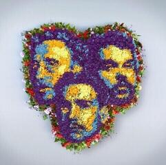 LP ploča Goldband - Betaalbare Romantiek (2 LP)