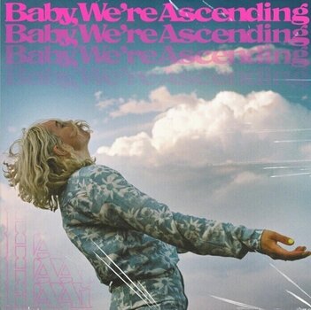 LP ploča HAAi - Baby, We're Ascending (2 LP) - 1