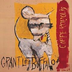 Disco in vinile Grant Lee Buffalo - Copperopolis (Reissue) (Remastered) (2 LP)