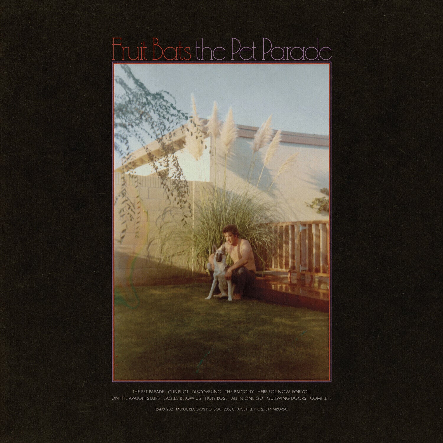 LP ploča Fruit Bats - The Pet Parade (LP)