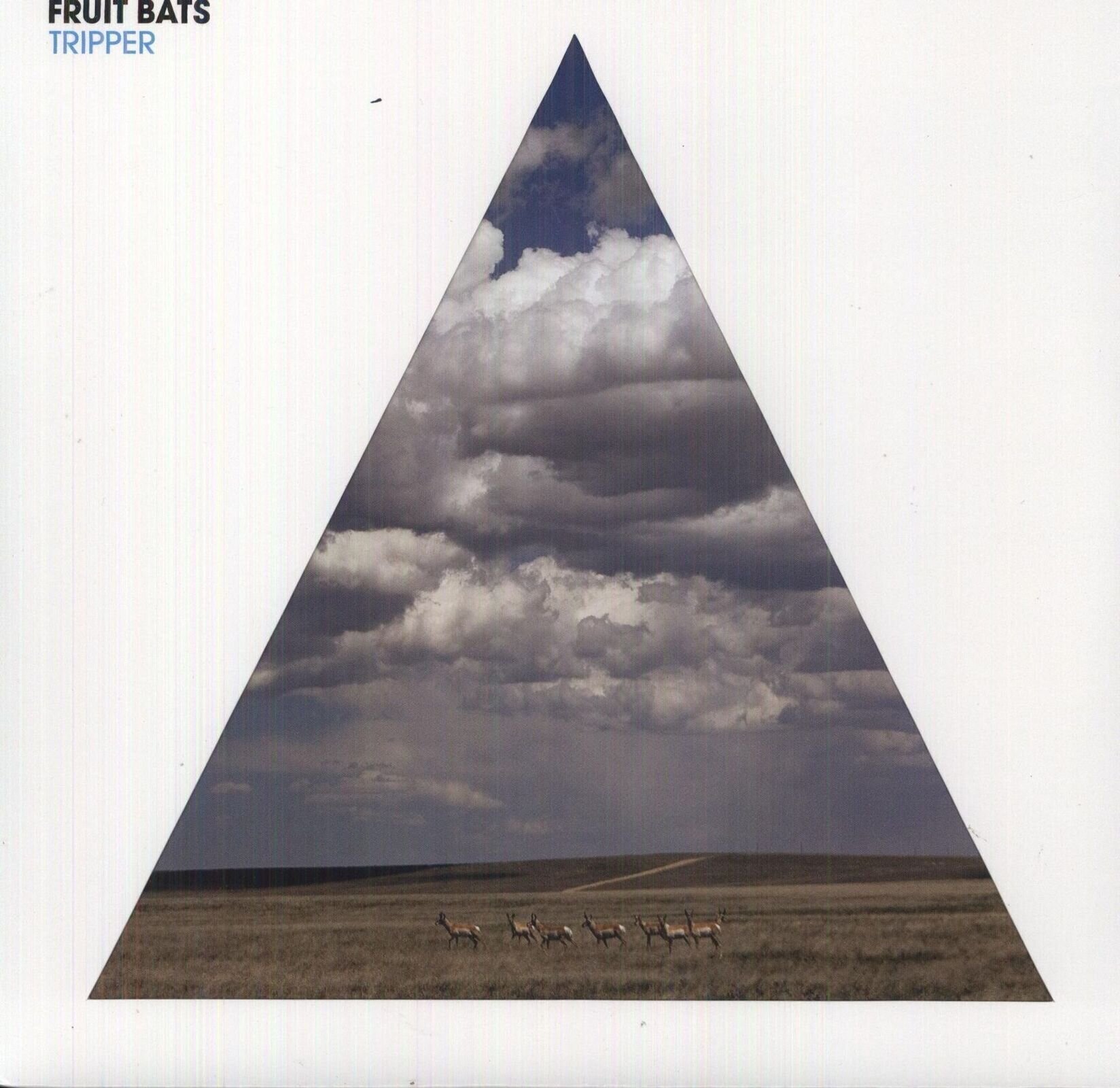 LP ploča Fruit Bats - Tripper (LP)
