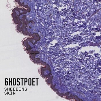 Vinylplade Ghostpoet - Shedding Skin (LP) - 1