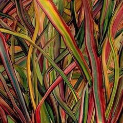 Disco in vinile Gengahr - Where Wildness Grows (LP)