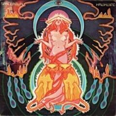Hanglemez Hawkwind - Space Ritual (Reissue) (Remastered) (2 LP)
