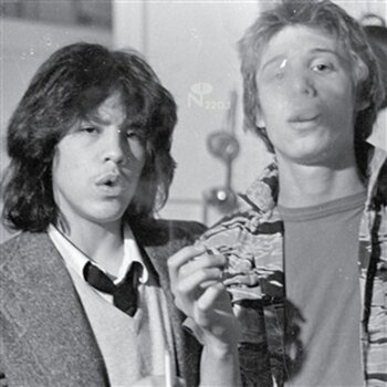 Disc de vinil The Hated - Best Piece Of Shit Vol. 4 (2 LP) - 1