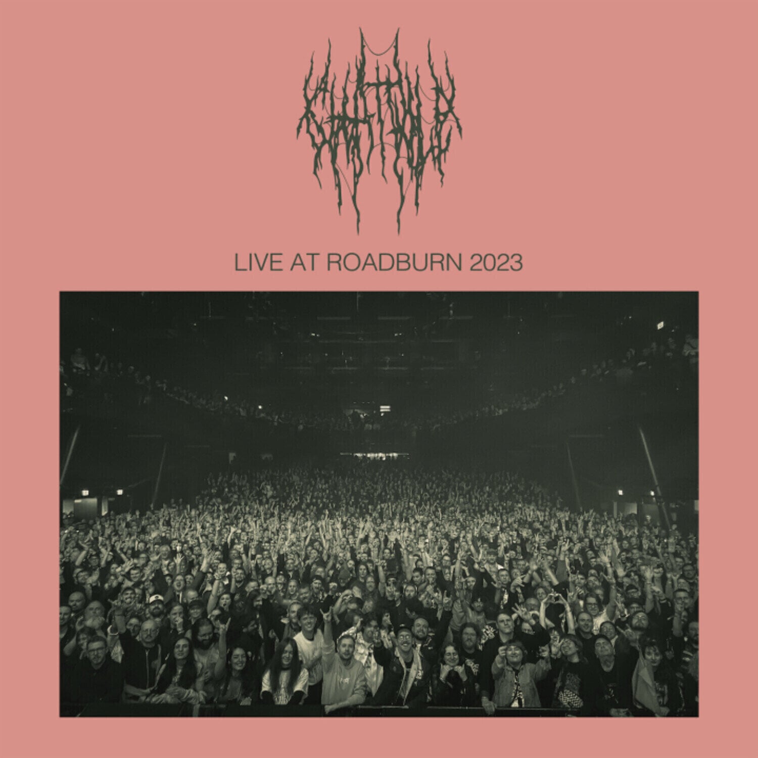 LP ploča Chat Pile - Live at Roadburn 2023 (LP)