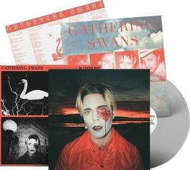LP ploča Choir Boy - Gathering Swans (Limited Edition) (Transparent Clear Coloured) (LP)