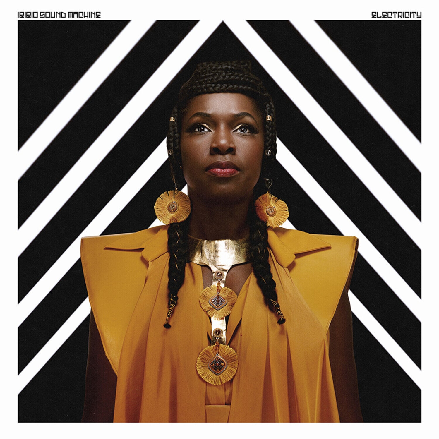 Vinyl Record Ibibio Sound Machine - Electricity (LP)