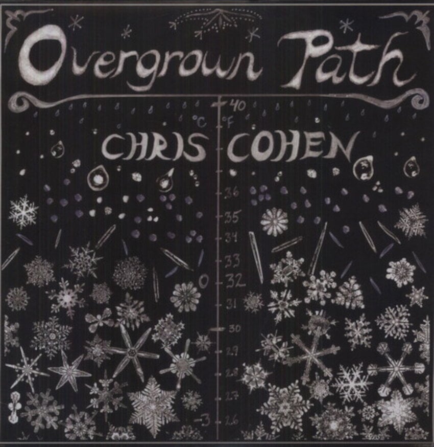 LP ploča Chris Cohen - Overgrown Path (LP)