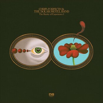 Disc de vinil Chris Forsyth & The Solar Motel Band - The Rarity Of Experience (2 LP) - 1