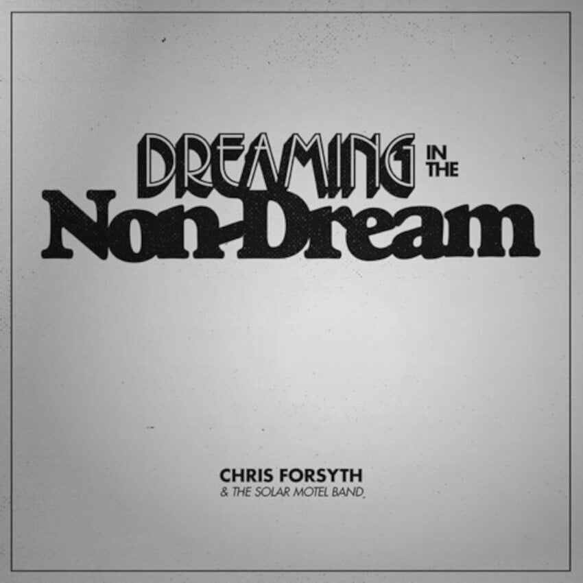Disc de vinil Chris Forsyth - Dreaming In The Non-Dream (LP)