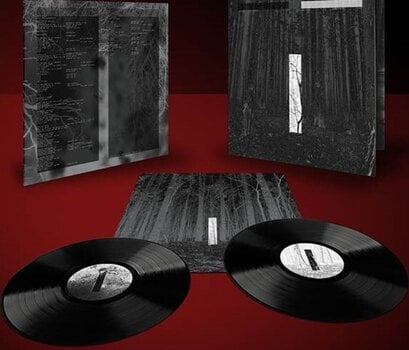 LP ploča Chris Liebing - Another Day (2 LP) - 1